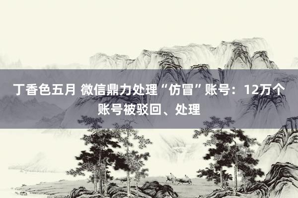 丁香色五月 微信鼎力处理“仿冒”账号：12万个账号被驳回、处理