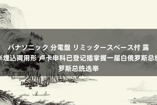 パナソニック 分電盤 リミッタースペース付 露出・半埋込両用形 卢卡申科已登记插掌握一届白俄罗斯总统选举