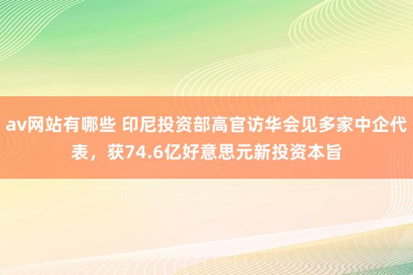 av网站有哪些 印尼投资部高官访华会见多家中企代表，获74.6亿好意思元新投资本旨