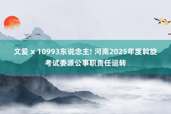 文爱 x 10993东说念主! 河南2025年度斡旋考试委派公事职责任运转