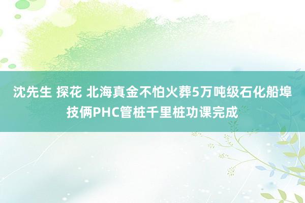 沈先生 探花 北海真金不怕火葬5万吨级石化船埠技俩PHC管桩千里桩功课完成