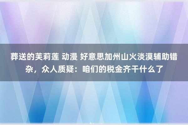 葬送的芙莉莲 动漫 好意思加州山火淡漠辅助错杂，众人质疑：咱们的税金齐干什么了